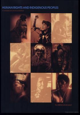 Human Rights and Indigenous Peoples: A Handbook on the UN System ...