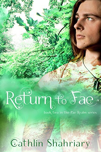 Return to Fae book cover