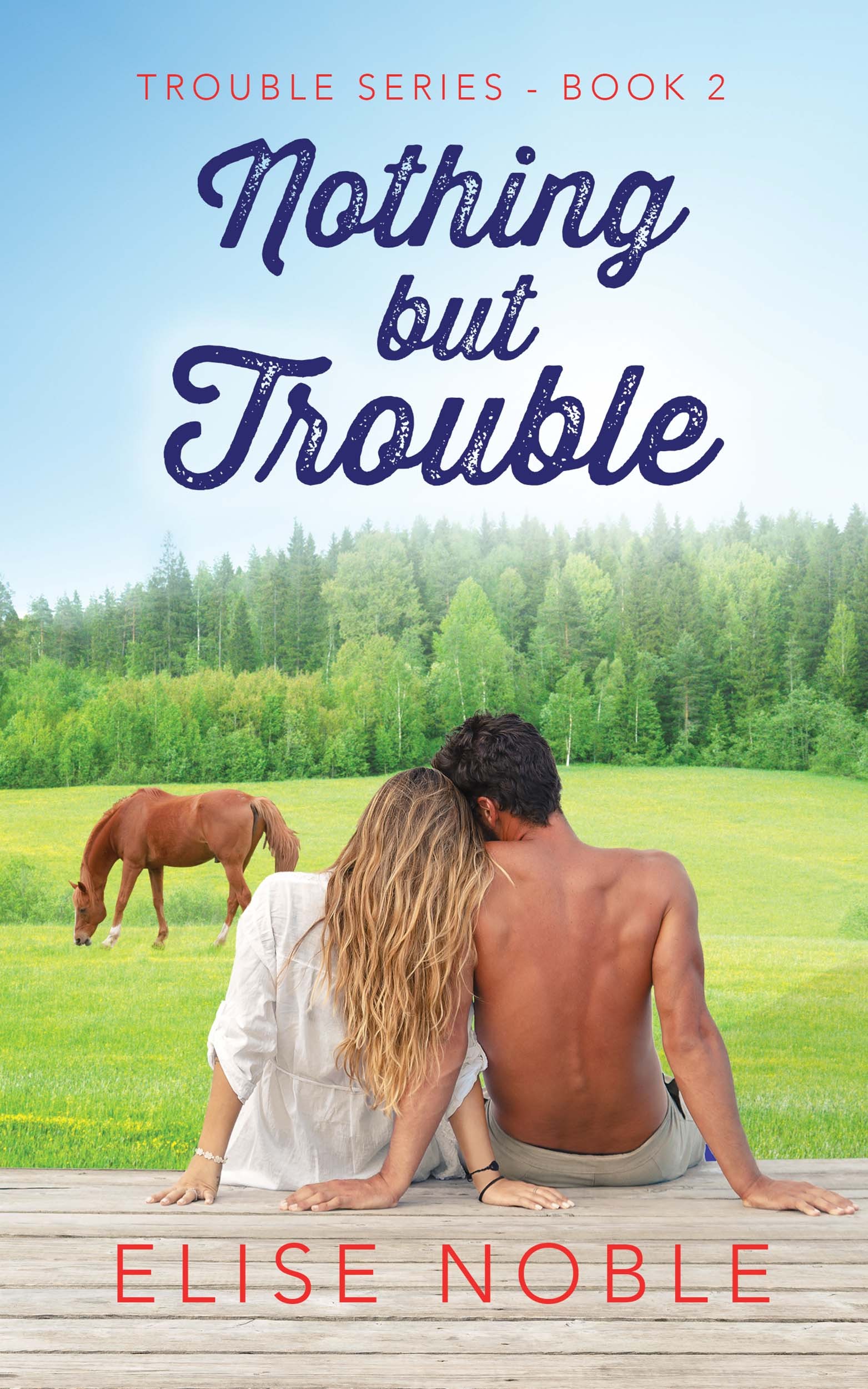 Nothing But Trouble book cover
