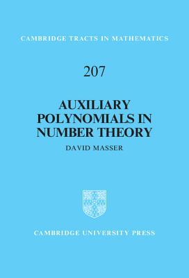 Auxiliary Polynomials in Number Theory book cover
