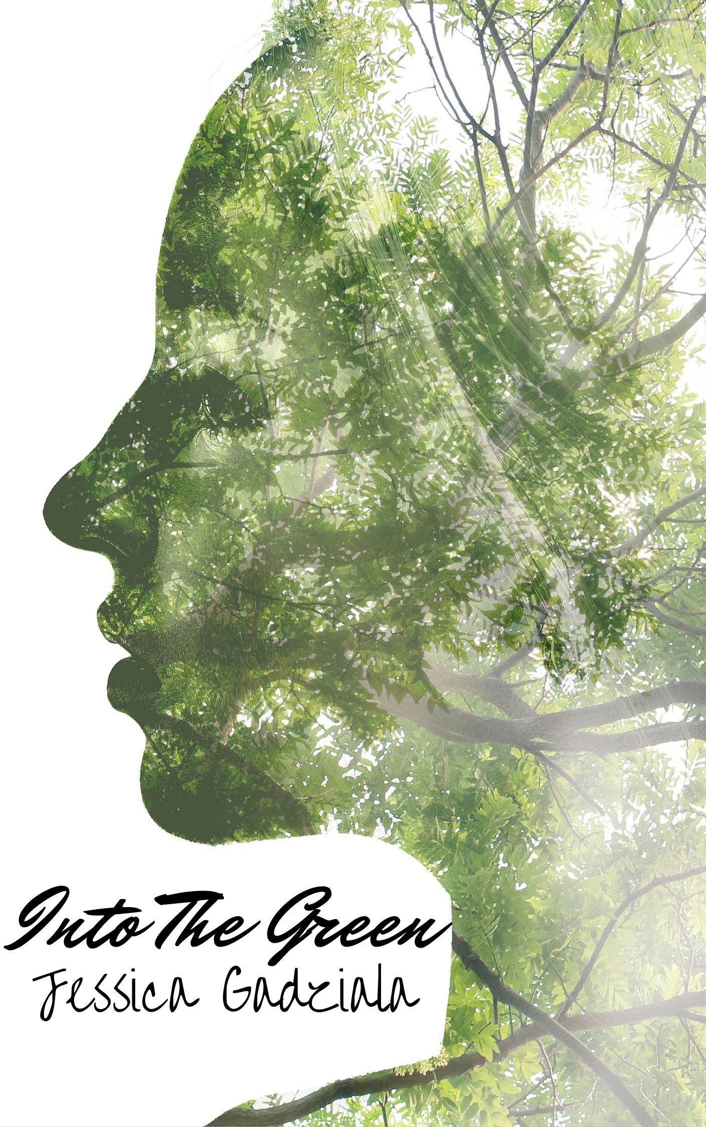 Into the Green book cover 1