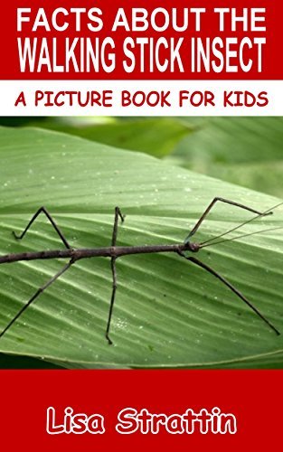 Facts About The Walking Stick Insect