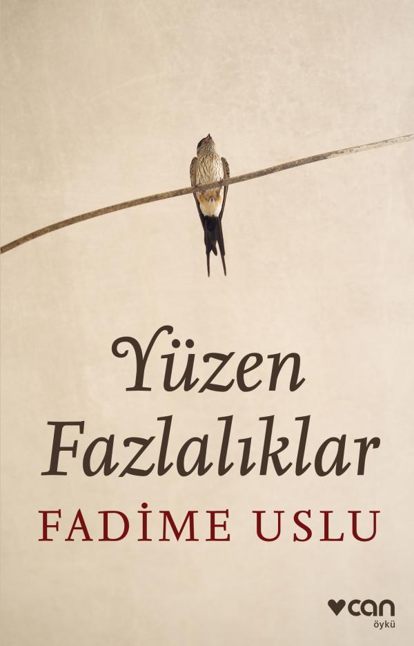 Yüzen Fazlalıklar book cover
