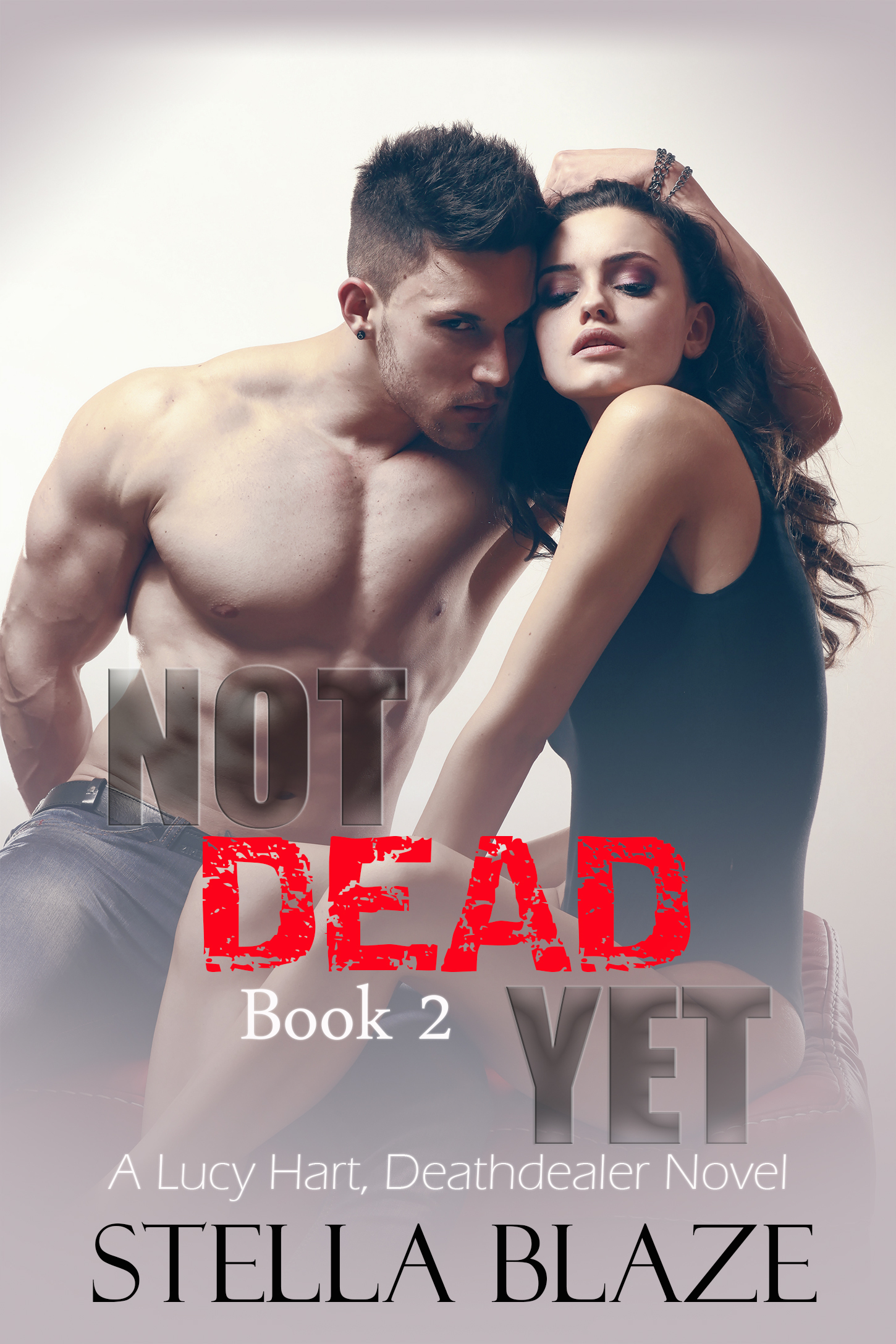 The Deathdealer book cover 2