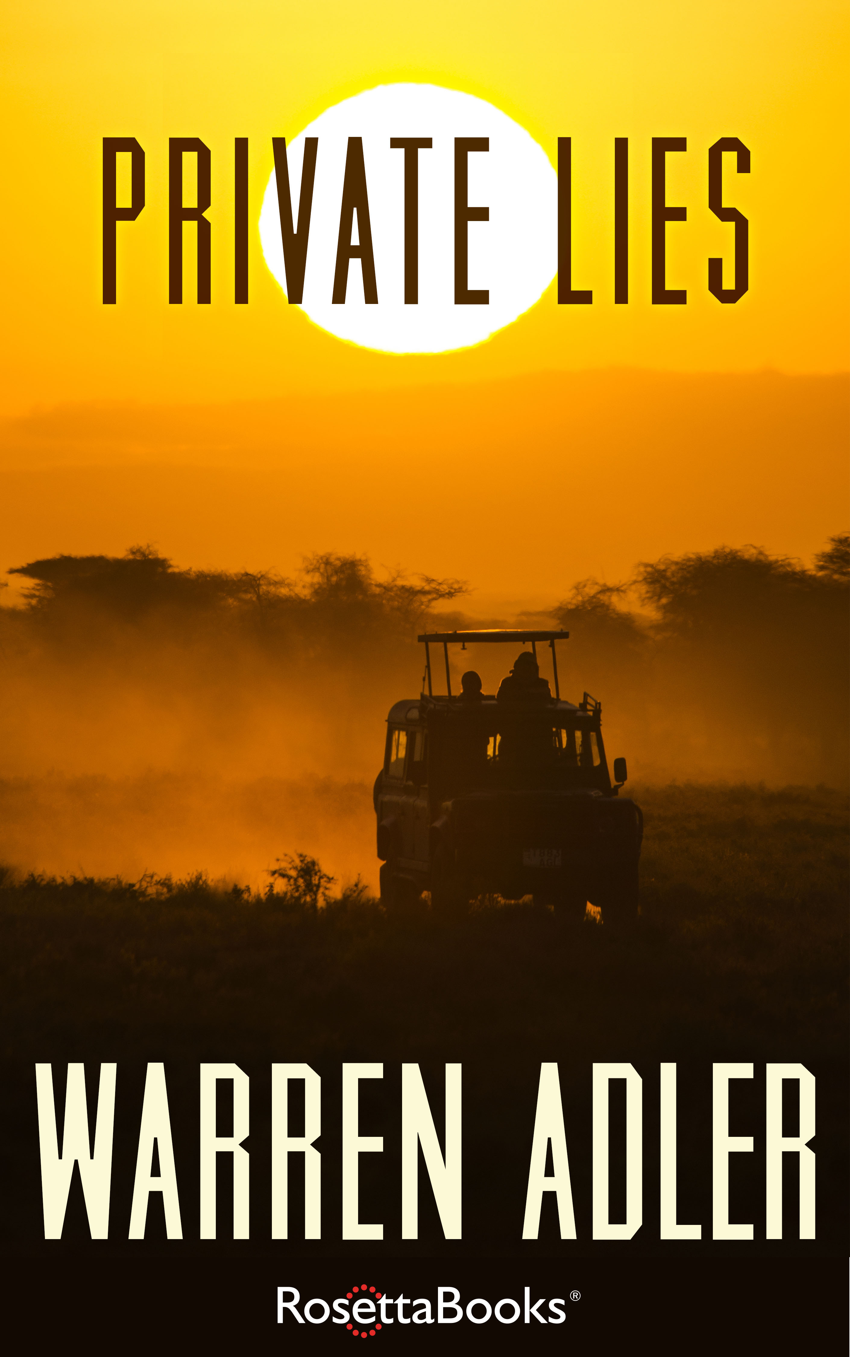 Private Lies book cover