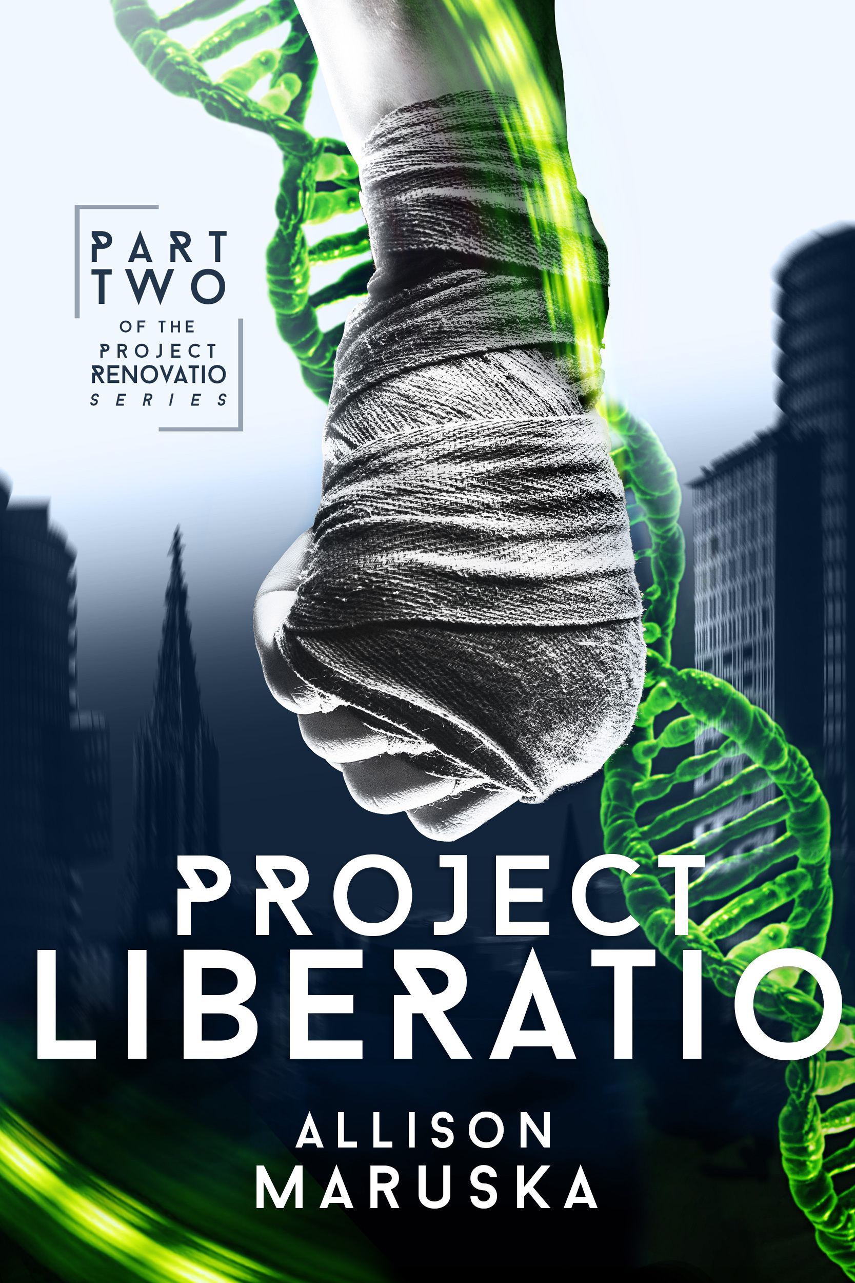 Project Liberatio book cover