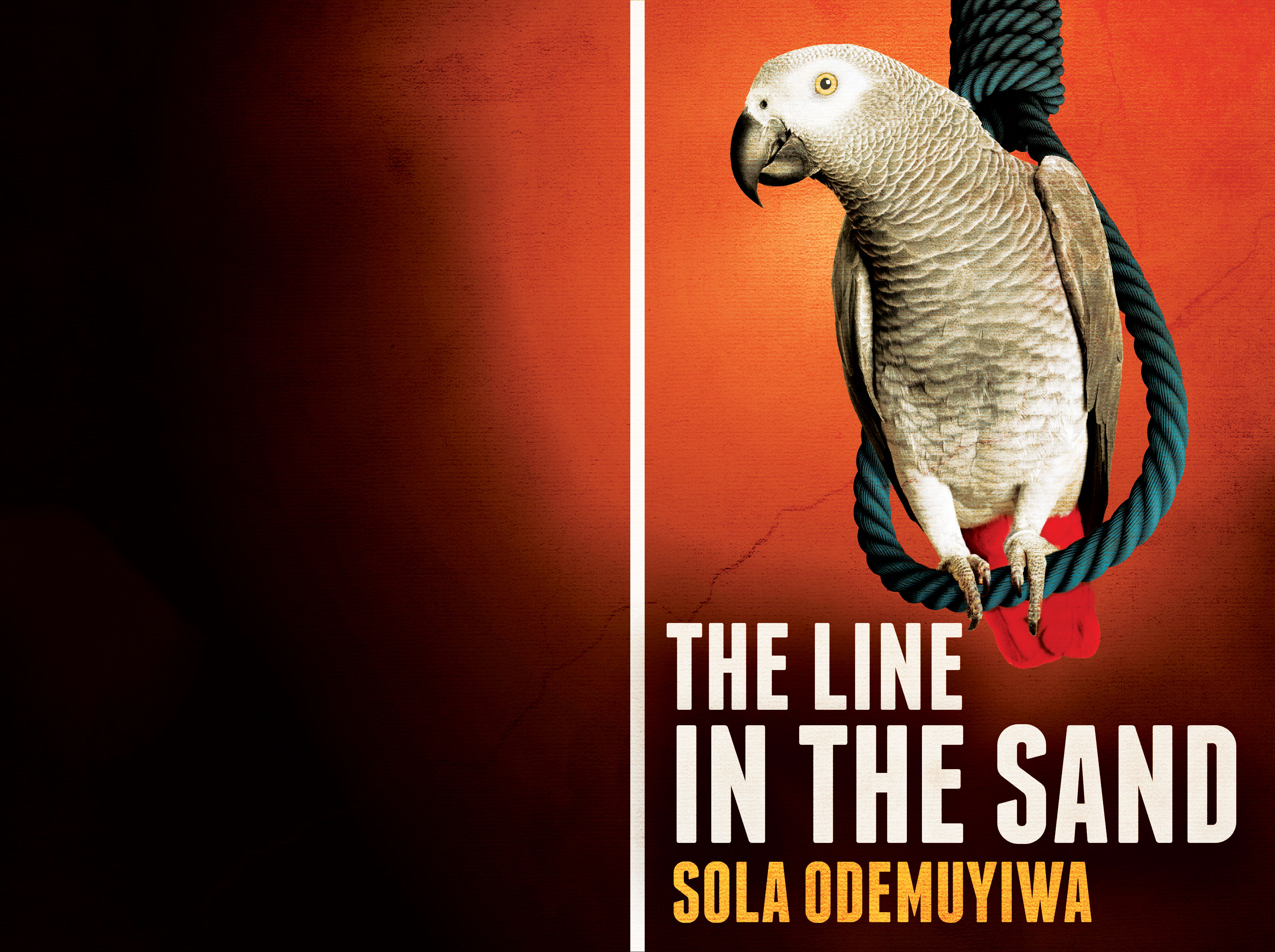 The Line in the Sand by Sola Odemuyiwa Goodreads The Line in the Sand by Sola Odemuyiwa Goodreads