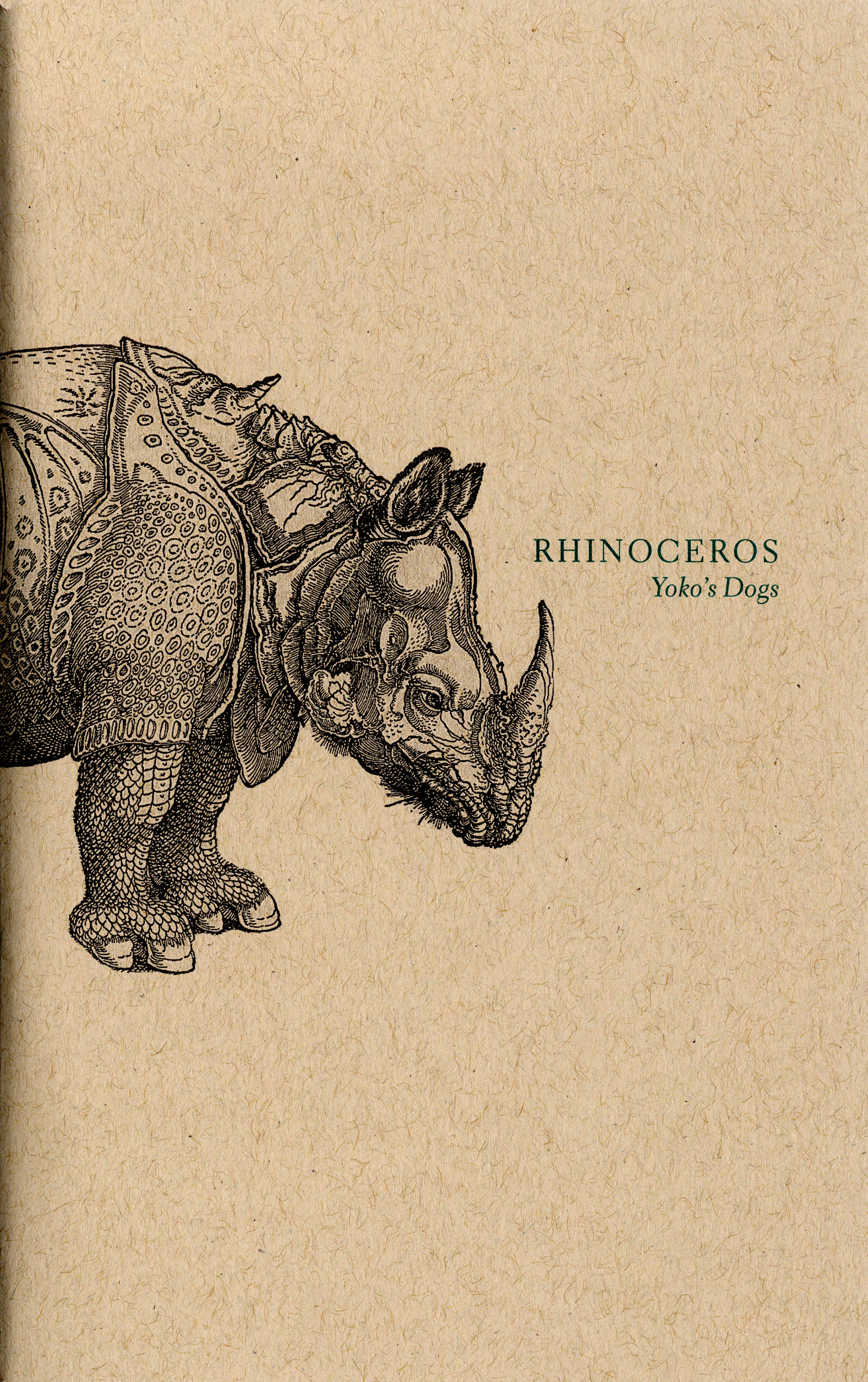 Rhinoceros book cover