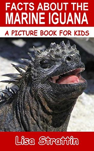 Facts About The Marine Iguana