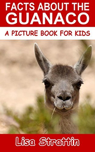 Facts About The Guanaco