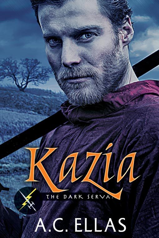 Dark Servant II book cover 1