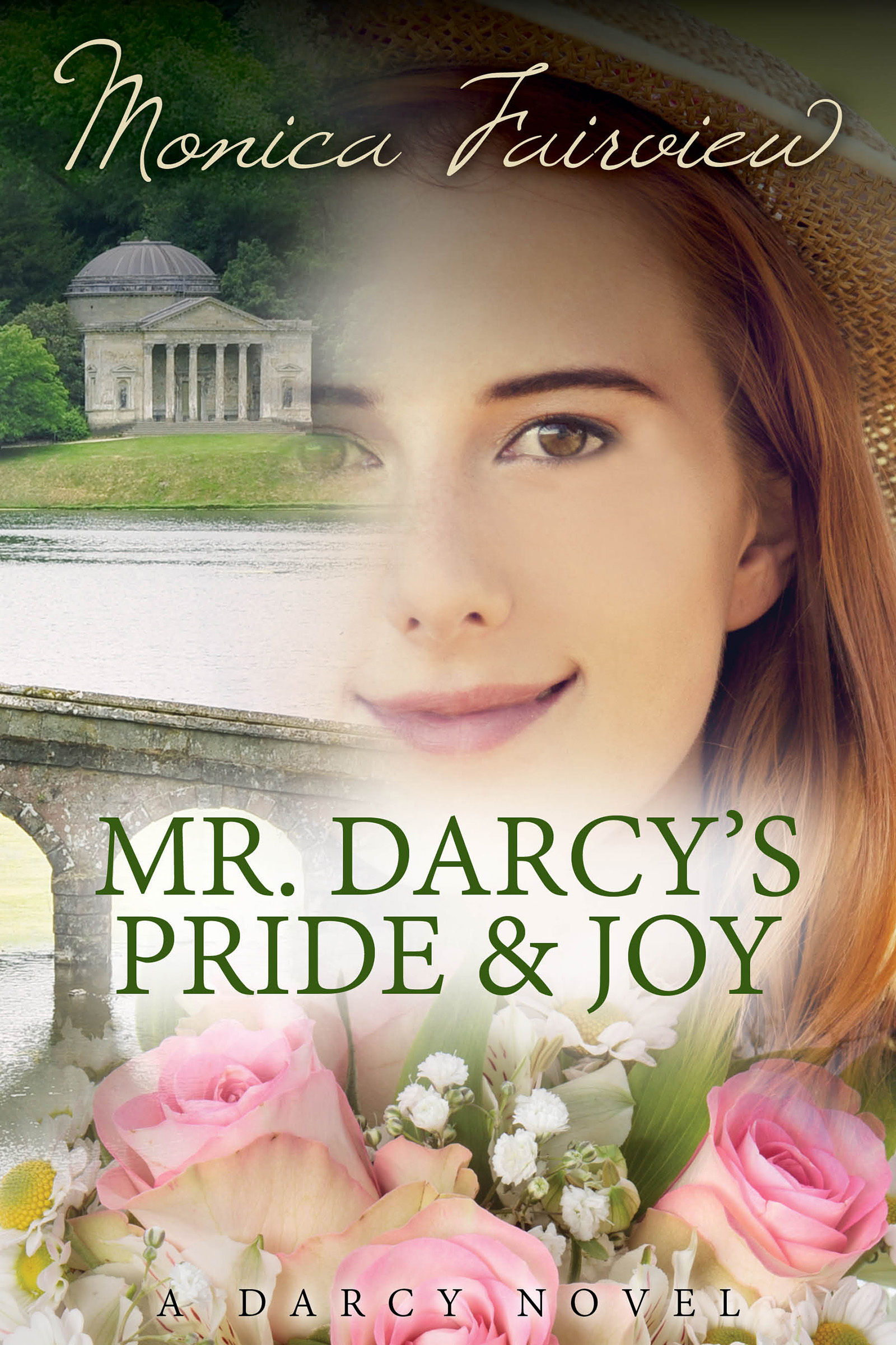 The Darcy Novels book cover 3