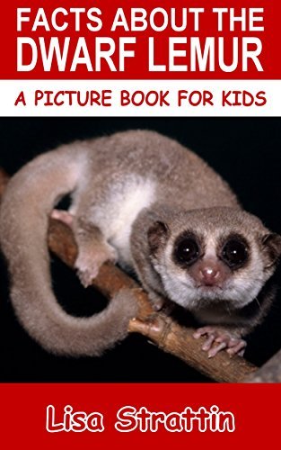 Facts About The Dwarf Lemur