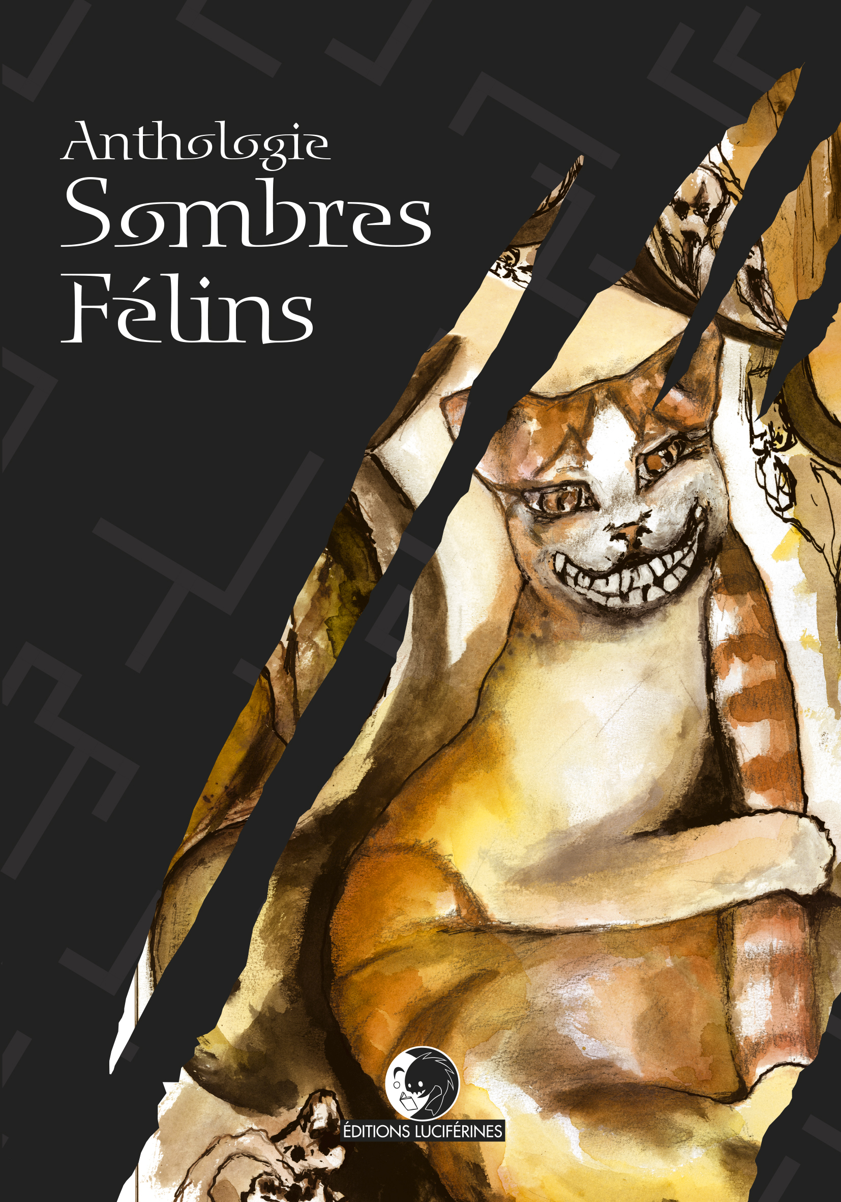 Sombres Félins book cover