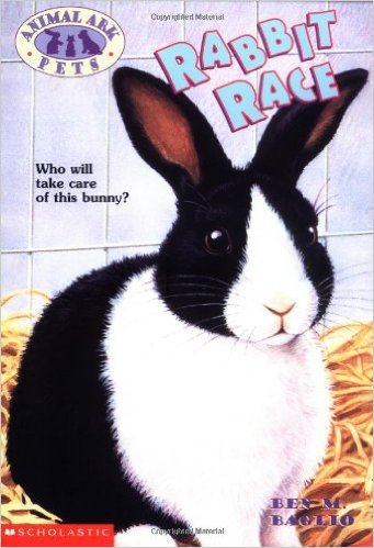 Rabbit Race book cover