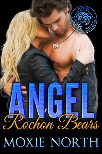 Angel book cover