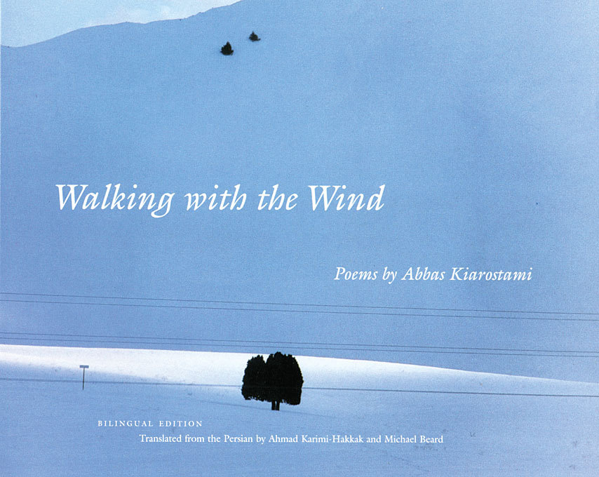 Walking with the Wind book cover