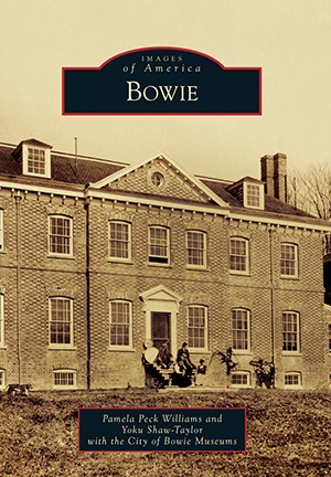 Bowie book cover