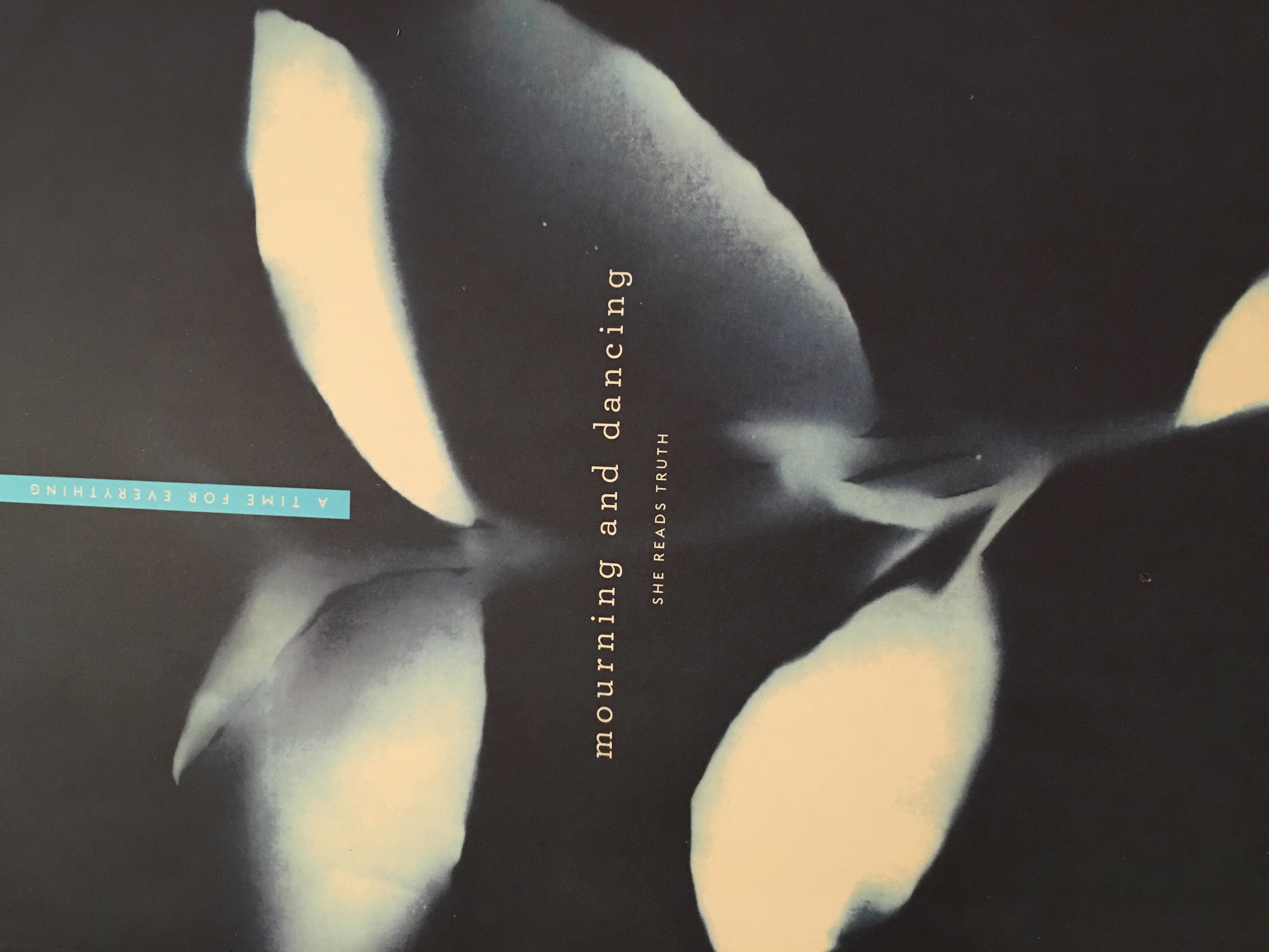 A Time for Everything book cover