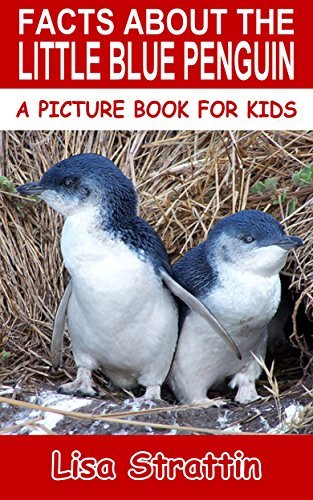 Facts About The Little Blue Penguin