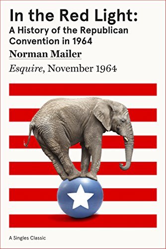 In the Red Light book cover