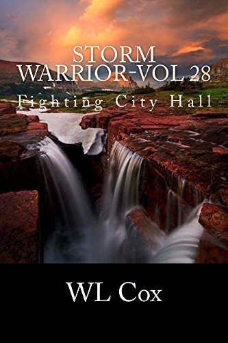 Storm Warrior-Vol 28 book cover