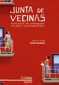 Junta de vecinas book cover