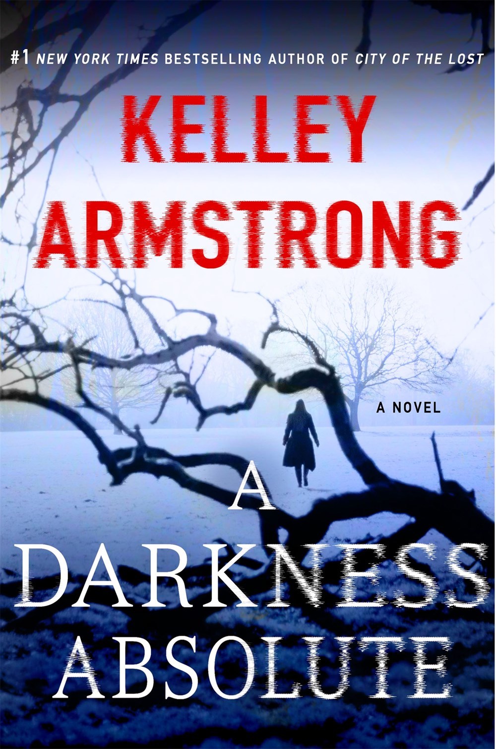 A Darkness Absolute (Casey Duncan #2)