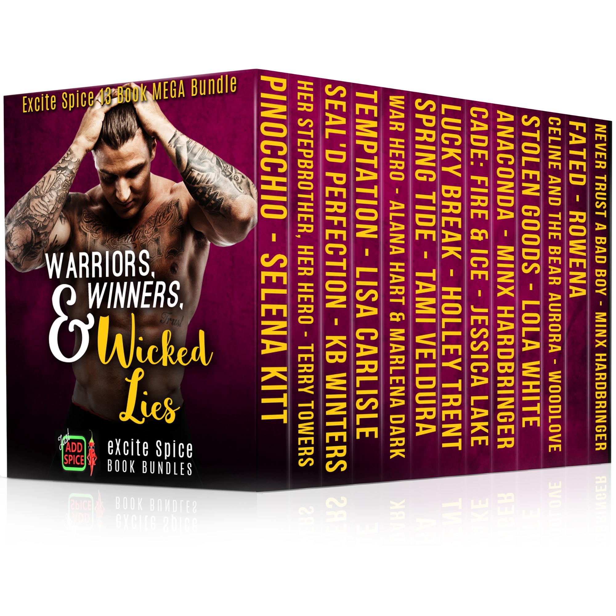 Warriors, Winners and Wicked Lies book cover