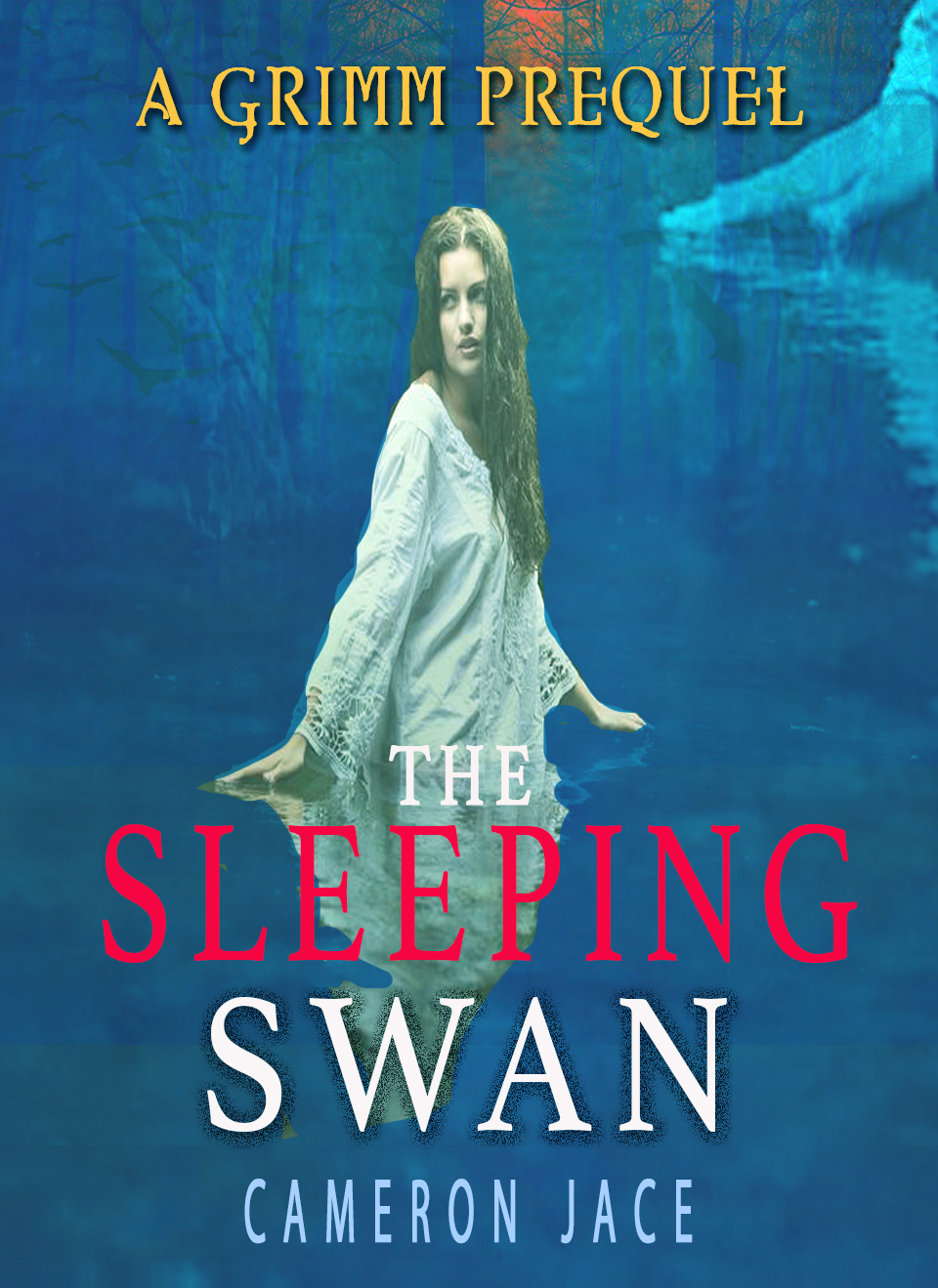 The Sleeping Swan book cover