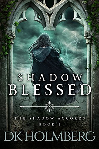 The Shadow Accords book cover 1