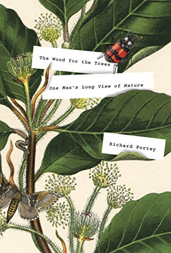 The Wood for the Trees: One Man's Long View of Nature