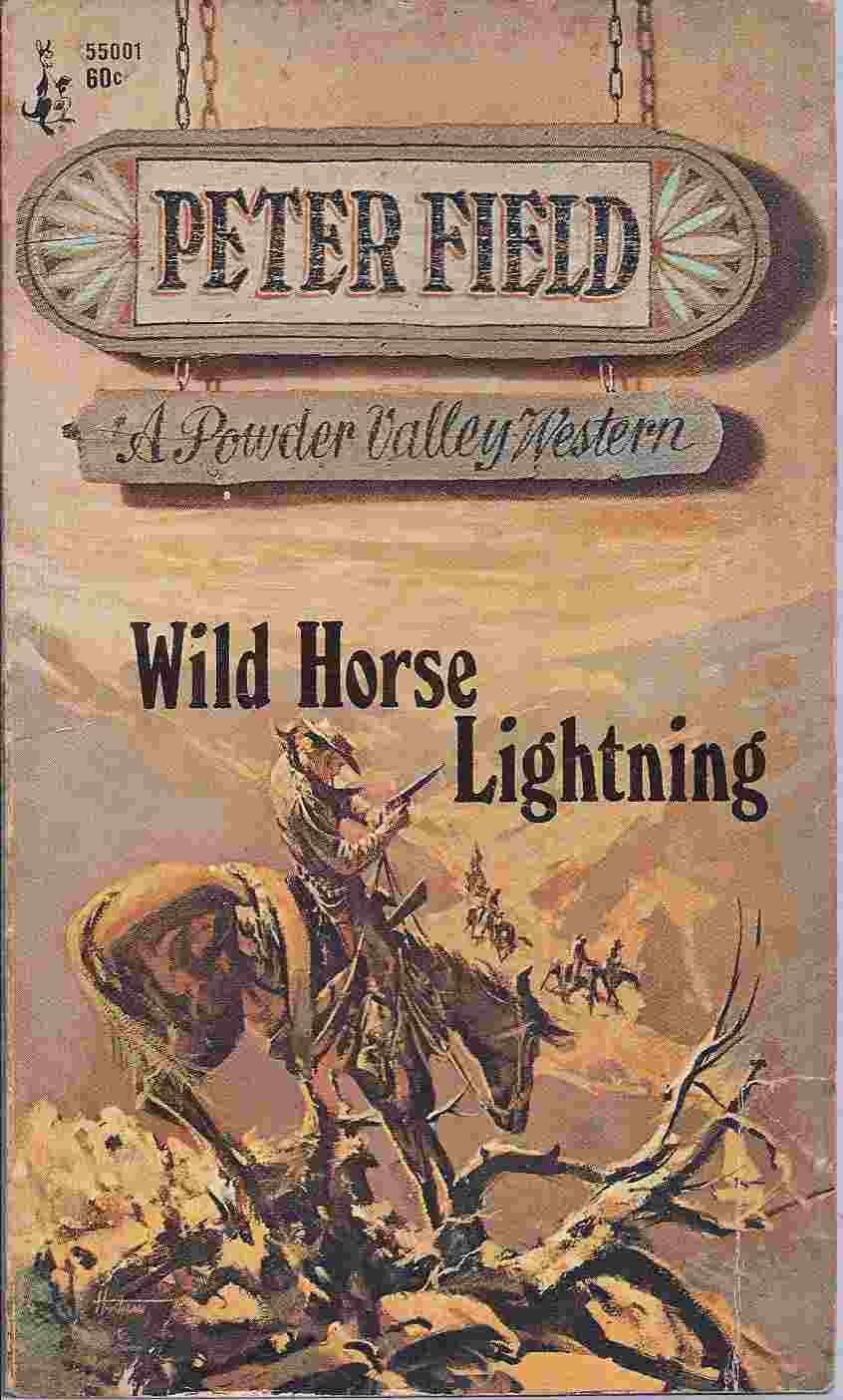 Wild Horse Lightning book cover