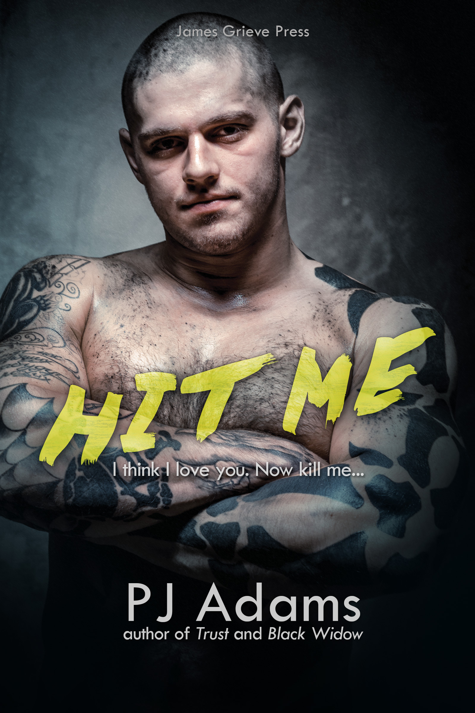 Hit Me book cover