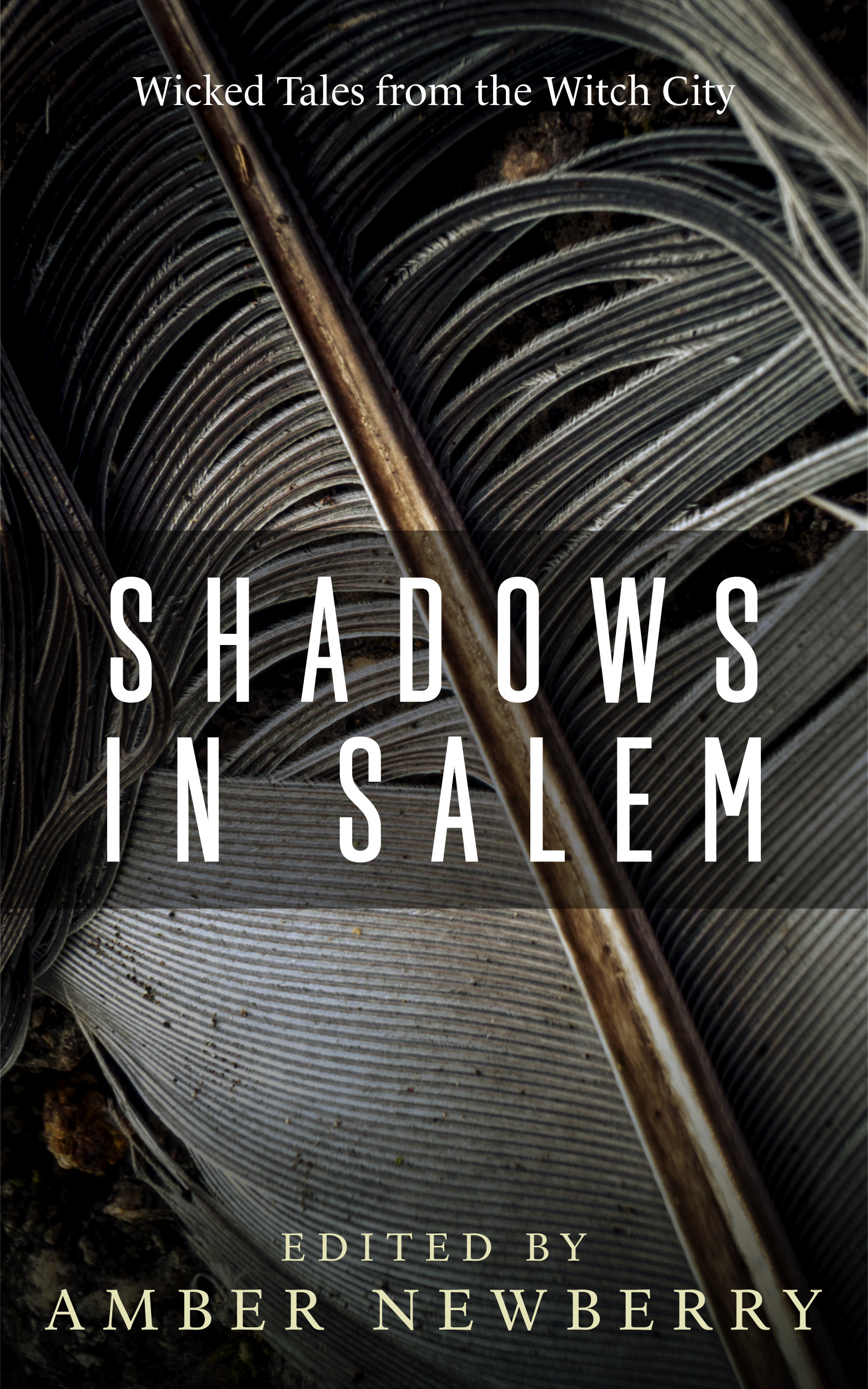 Shadows in Salem book cover