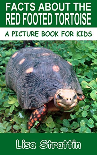 Facts About The Red Footed Tortoise
