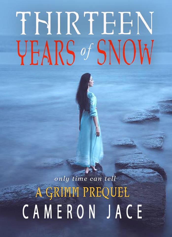 Thirteen Years of Snow book cover