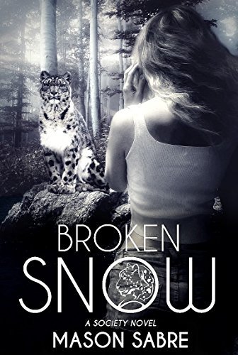 Broken Snow book cover