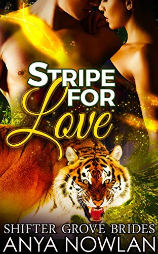 Stripe for Love book cover