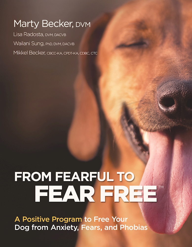 From Fearful to Fear Free book cover