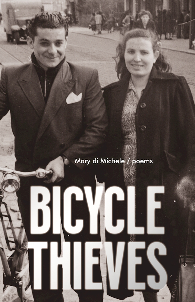 Bicycle Thieves book cover