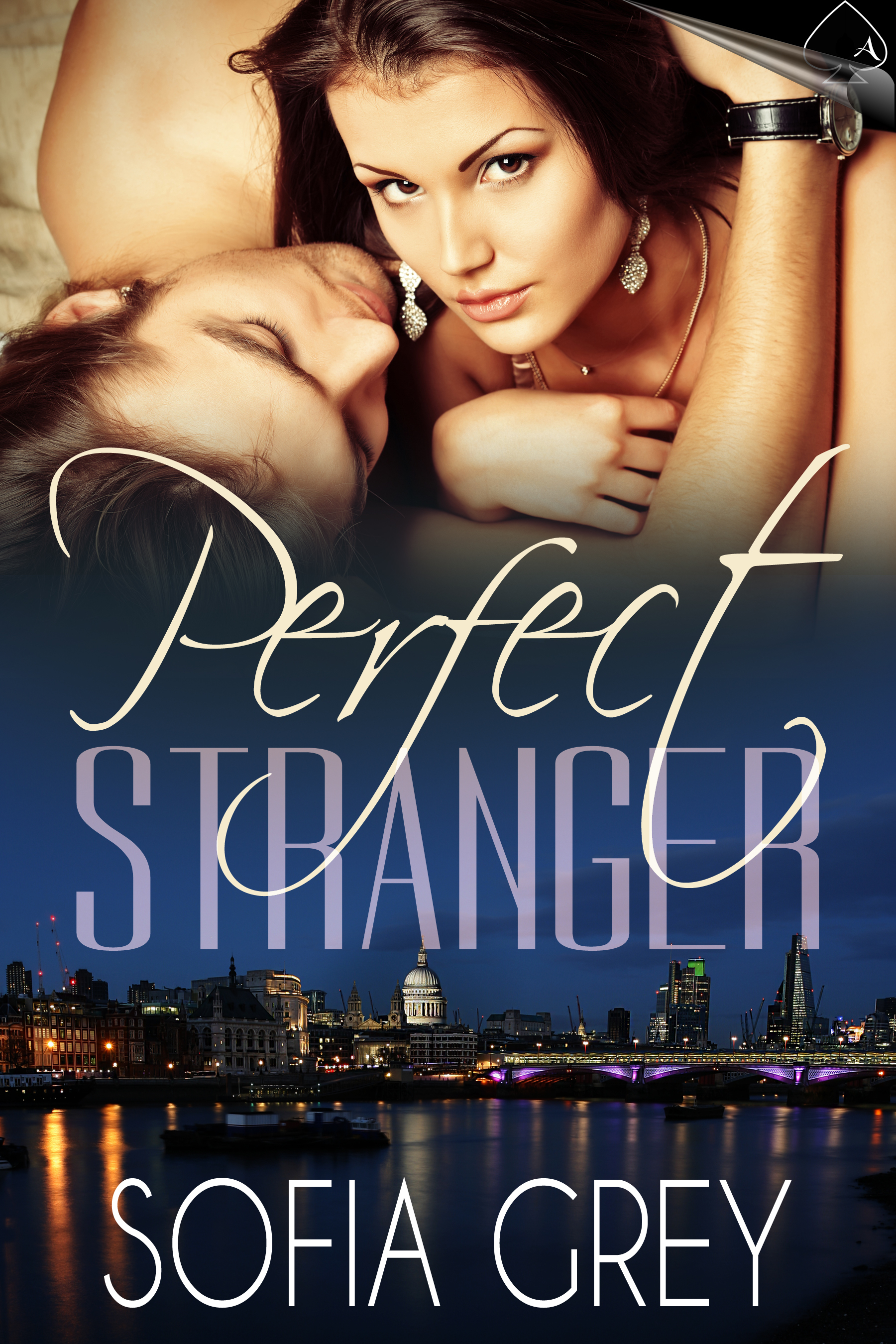 Perfect Stranger book cover