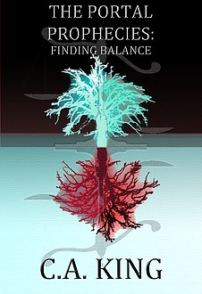 Finding Balance book cover