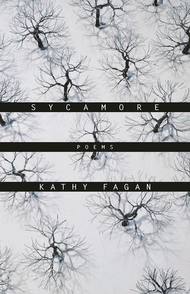 Sycamore: Poems