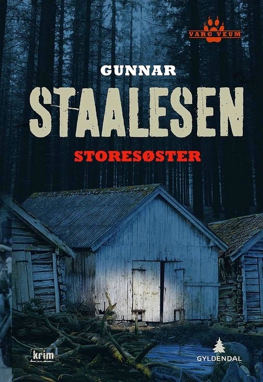 Big Sister book cover