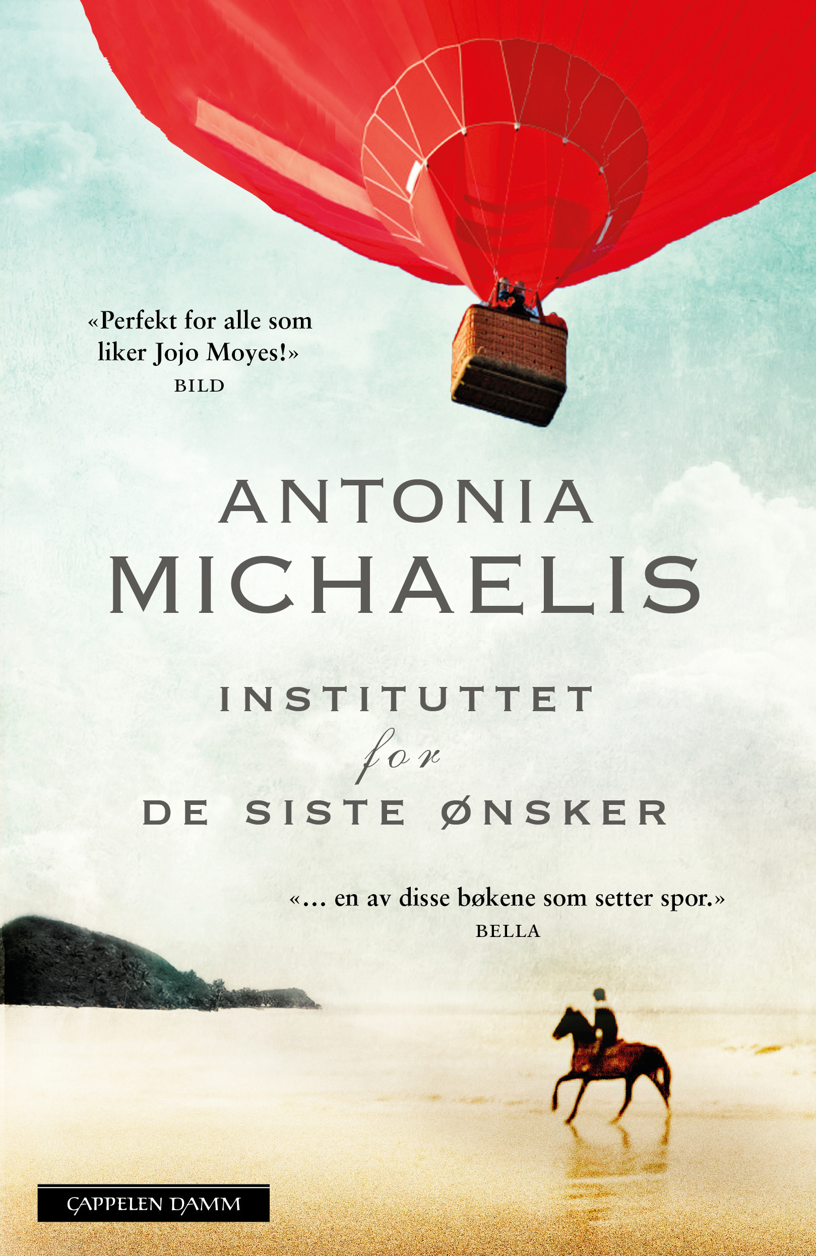Instituttet for de siste ønsker book cover