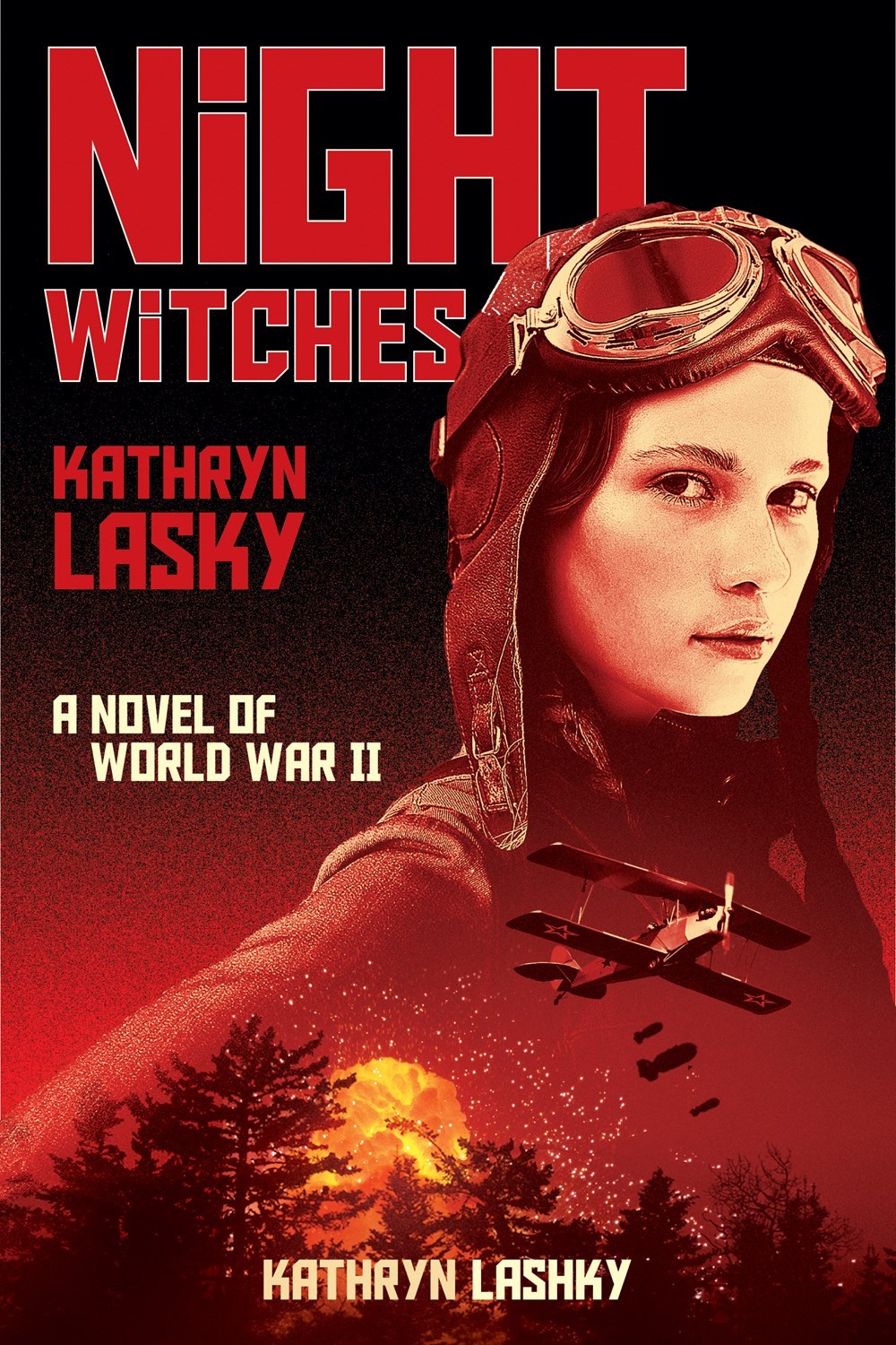 Night Witches book cover