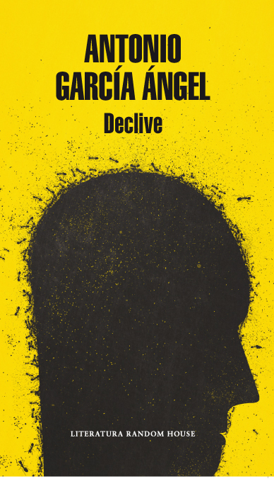 Declive book cover