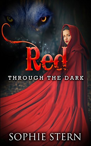 Through the Dark book cover