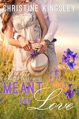 Willow Valley book cover 2